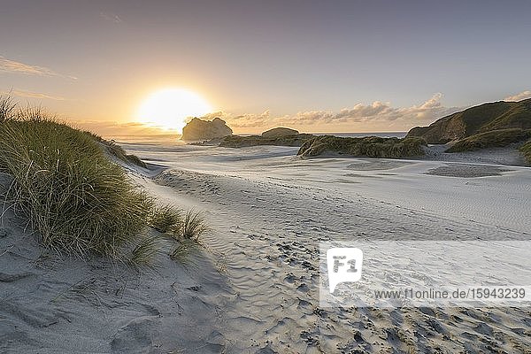 Sanddünen bei Sonnenuntergang  Wharariki Beach Puponga  North West Nelson Conservation Park  Tasman  Südinsel  Neuseeland  Ozeanien