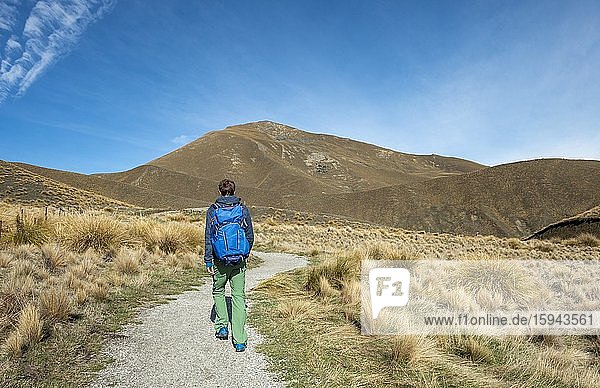 Hiker on hiking trail in barren mountain landscape  Lindis Pass  Southern Alps  Otago  South Island  New Zealand  Oceania