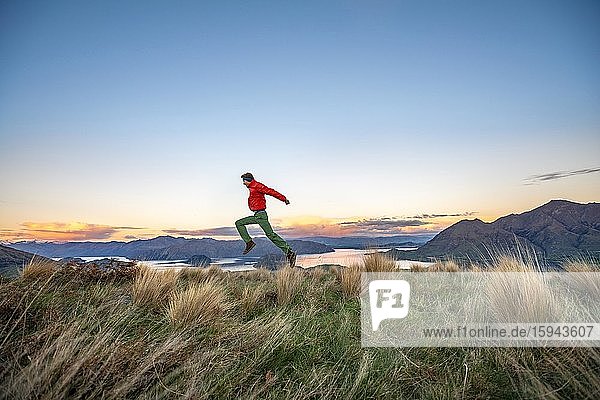 Hiker jumps into the air  panoramic view of Wanaka Lake and mountains at sunset  Rocky Peak  Glendhu Bay  Otago  South Island