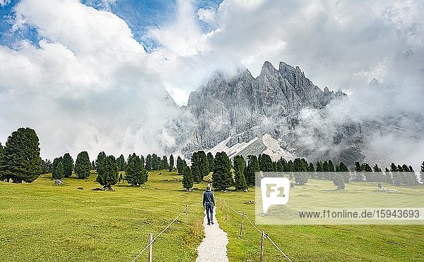 Hiker on a hiking trail at the Gschnagenhardt Alm  cloudy Geisler peaks  Geisler group with Sass Rigais  Villnöß valley  Dolomites  South Tyrol  Italy  Europe