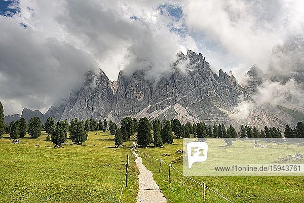 Wanderweg bei der Gschnagenhardt Alm  wolkenverhangene Geislerspitzen  Geislergruppe mit Sass Rigais  Villnösstal  Dolomiten  Südtirol  Italien  Europa