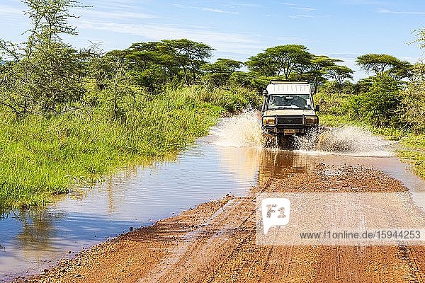Jeep crosses a ford with water  Serengeti National Park  Tanzania  Africa
