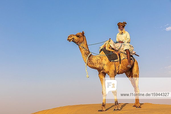 Ein alter Mann mit seinem Dromedar  Wüste Thar  Rajasthan  Indien  Asien