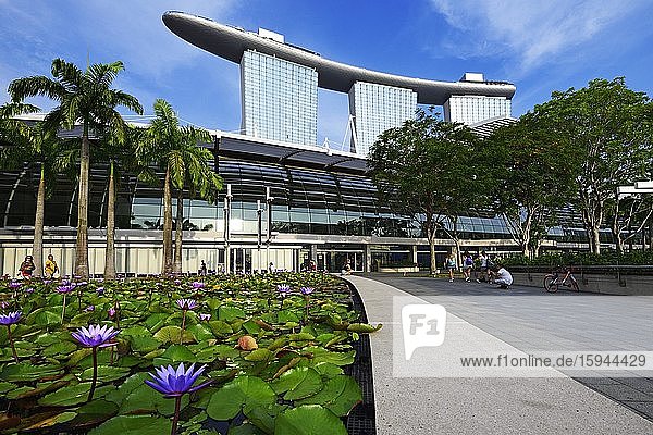 Seerosenteich vor dem Art Science Museum  dahinter Marina Bay Sands Hotel  Singapur  Asien