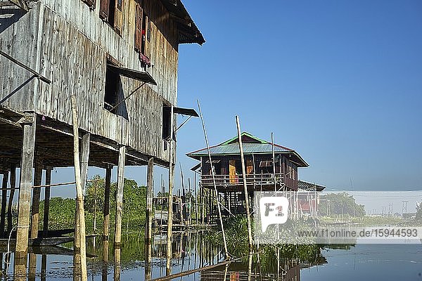 Häuser auf Stelzen  Intha Pfahldorf Inn Paw Khon  Inle See  Khan-Staat  Myanmar  Asien