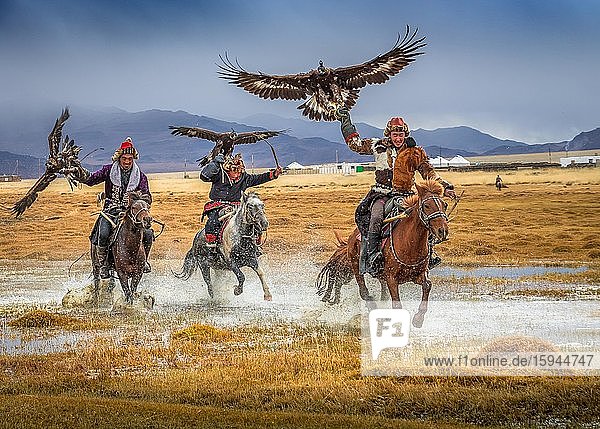 Mongolian eagle hunter  three Kazakhs on horseback with trained eagles  Bajan-Ölgii province  Mongolia  Asia