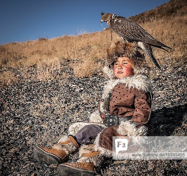 Mongolian falcon hunter  little boy posing with a trained falcon on his head  Bajan-Ölgii province  Mongolia  Asia
