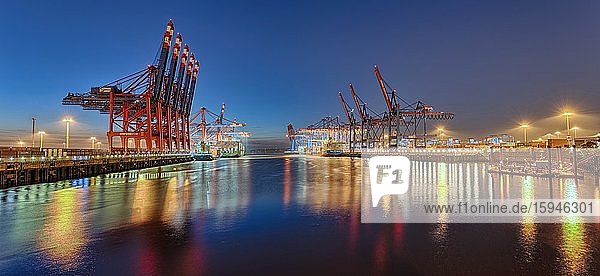 Burchardkai  Hafen  beleuchtet  Abendstimmung  Hamburg  Deutschland  Europa