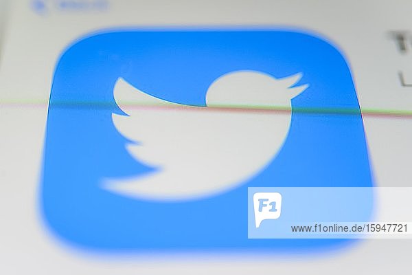 Twitter App Soziales Netzwerk App-Icon Bildschirmfoto Smartphone Detail formatfüllend
