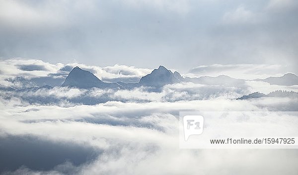 Blick auf Berge zwischen Wolken  Hochnebel  Hochbrixen  Brixen im Thale  Tirol  Österreich  Europa