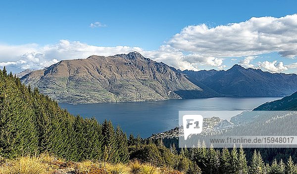 View of Lake Wakatipu  forest and mountains  Ben Lomond Scenic Reserve  Otago  South Island  New Zealand  Oceania