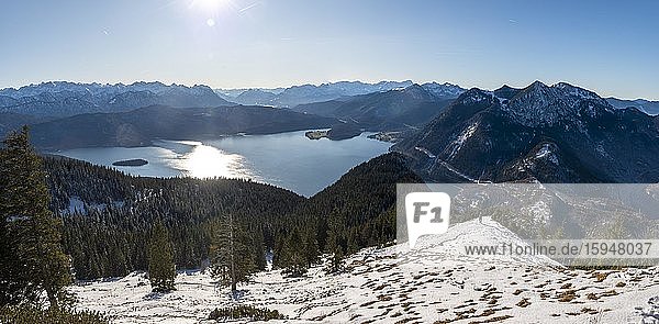 Panorama  Blick vom Jochberg auf den Walchensee im Winter mit Schnee  rechts Herzogstand  Alpen  Oberbayern  Bayern  Deutschland  Europa