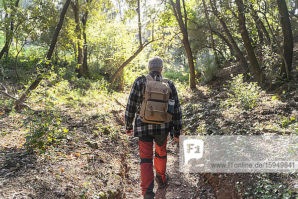 Rückenansicht eines älteren Mannes mit Rucksack beim Wandern im Wald