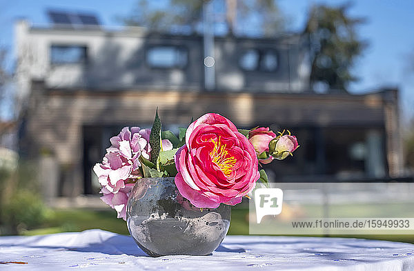 Nahaufnahme einer frischen rosa Blume in einer Vase auf dem Tisch vor dem Haus