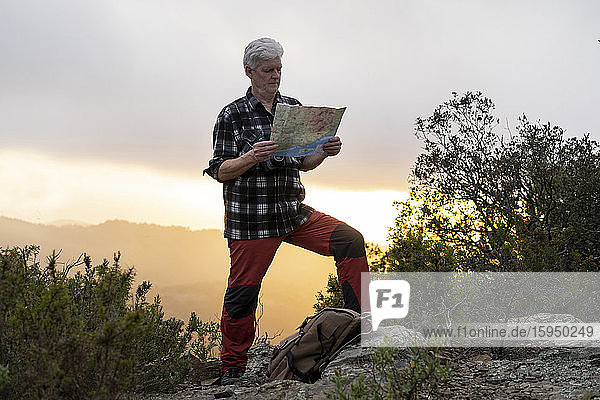 Älterer Mann auf einer Wanderung bei Sonnenuntergang beim Kartenlesen