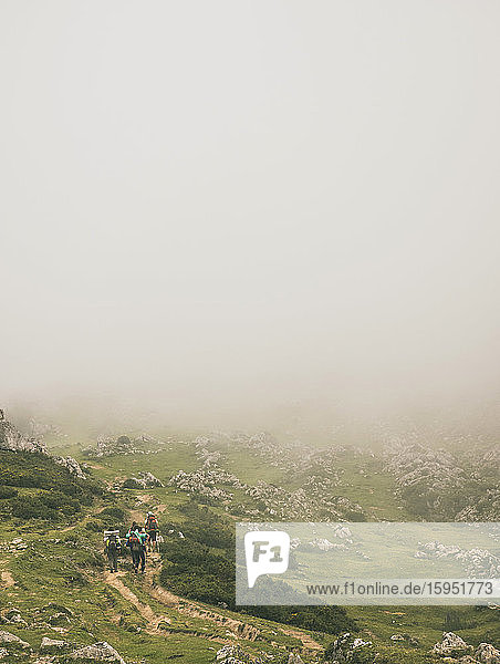 Spanien  Kantabrien  Gruppe von Rucksacktouristen wandert bei nebligem Wetter in den Picos de Europa