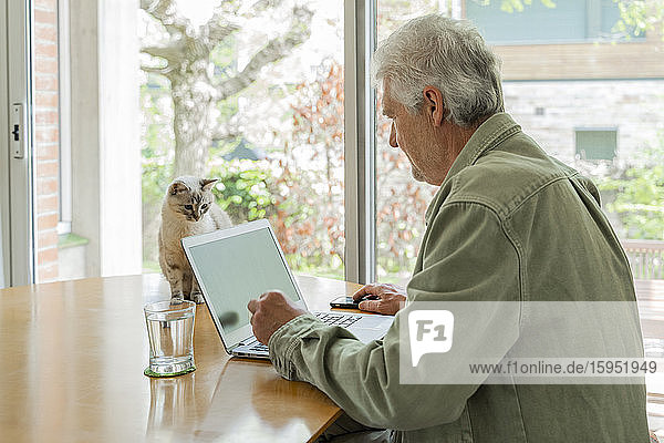 Seitenansicht eines älteren Mannes im Ruhestand  der einen Laptop benutzt  während er am Tisch am Fenster sitzt