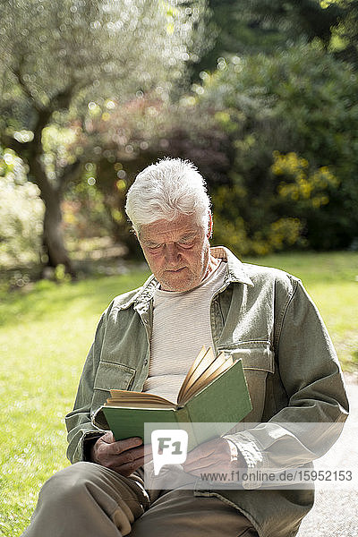 Älterer Mann liest Buch  während er an einem sonnigen Tag im Garten sitzt