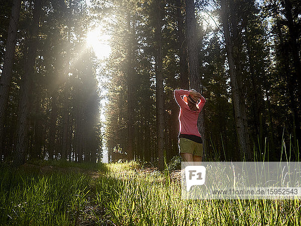 Woman on a forest glade in backlight  Swellendam  South Africa