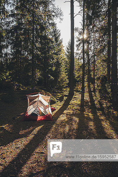 Zelt im Wald  in dem eine Person in einem Schlafsack schläft