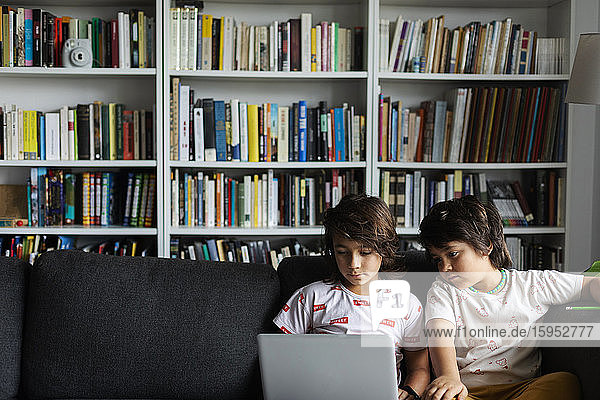 Brüder sitzen mit Laptop auf dem Sofa vor dem Bücherregal im Wohnzimmer zu Hause