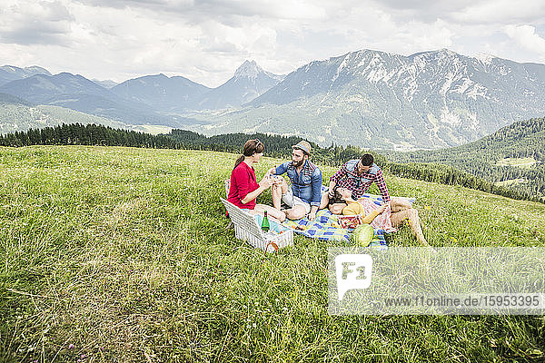 Friends having a picnic on a meadow in the mountains  Achenkirch  Austria
