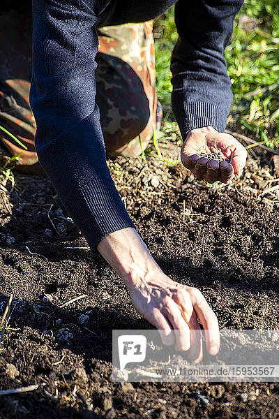 Midsection of man sowing seeds in soil at garden