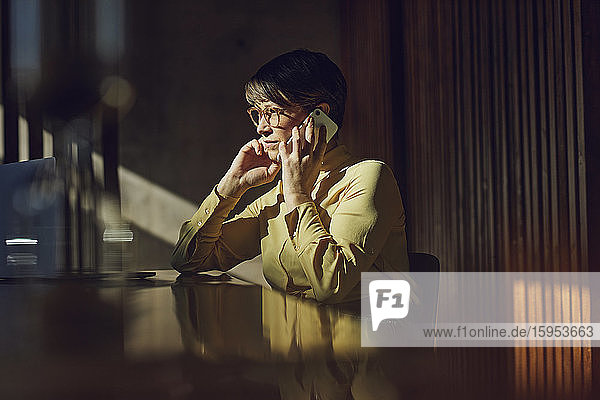 Businesswoman sitting in her sustainable office  talking on the phone