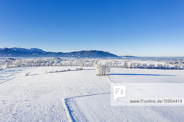 Deutschland  Bayern  Greiling  Drohnenansicht des schneebedeckten Alpenvorlandes