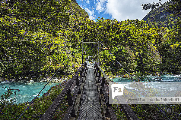 New Zealand  Southland  Te Anau  Bridge across Hollyford River flowing in Fiordland National Park