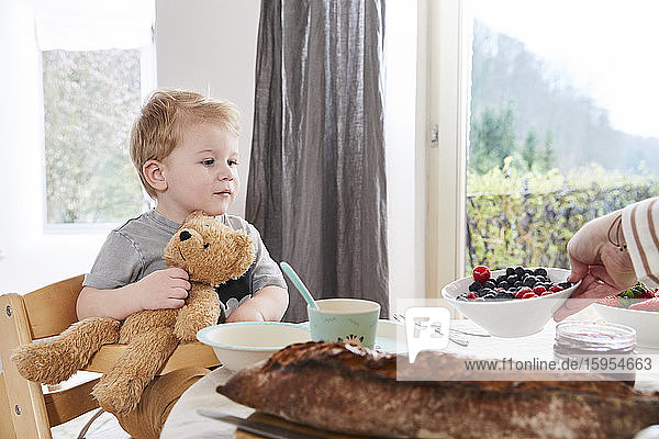 Porträt eines kleinen Jungen  der mit einem Teddybären am Frühstückstisch sitzt