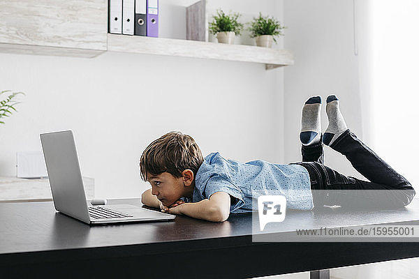Boy lying on desk looking at laptop