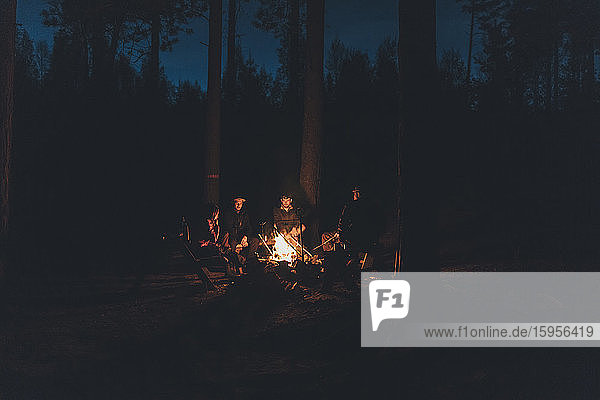 Freunde sitzen am Lagerfeuer im Wald