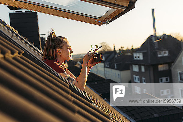 Junge Frau hält abends Topfpflanze am Fenster