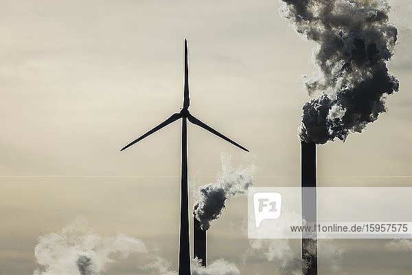 Windkraftrad und rauchende Schornsteine am Uniper Steinkohlekraftwerk Scholven im Gegenlicht Gelsenkirchen Ruhrgebiet Nordrhein-Westfalen Deutschland Europa