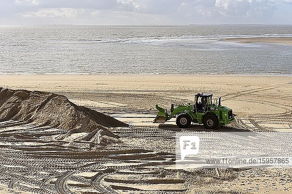 Working at the beach  sand is distributed with tractor at the beach  Borkum  East Frisian Island  Lower Saxony  Germany  Europe
