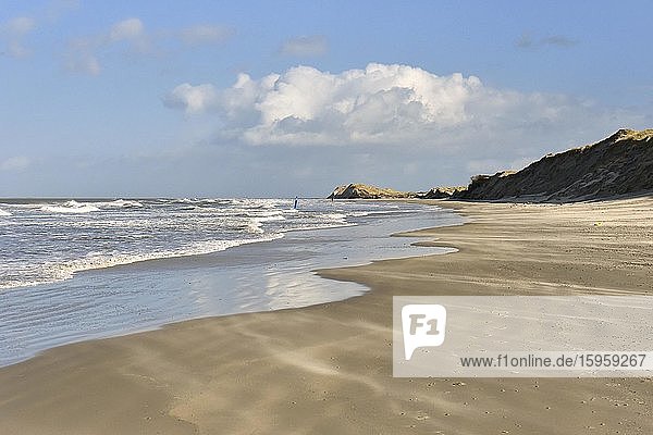 Water edge at the beach of Borkum  East Frisian Island  Lower Saxony  Germany  Europe