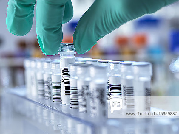 Ein Laborant testet menschliche DNA-Proben im Labor auf potenzielle Viren  einschließlich Pandemien und Covid-19.