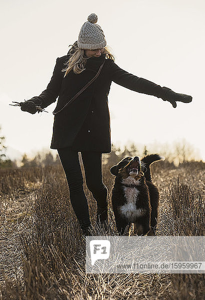 Eine Frau geht mit ihrem Berner Sennenhund spazieren.