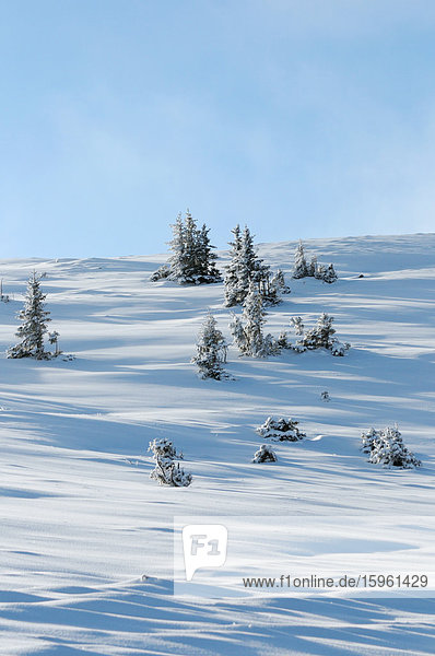 Winterlandschaft  Steiermark  Österreich