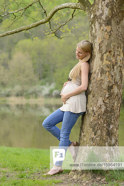 Junge schwangere Frau lehnt an einem Baumstamm