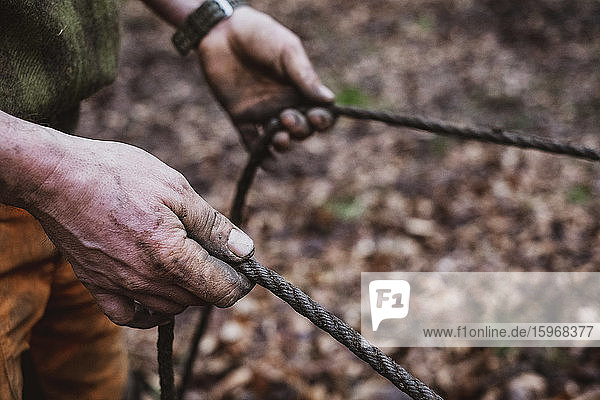 High angle close up of man holding reins of a work horse in a forest.