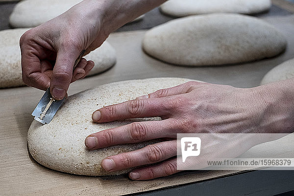 Handwerkliche Bäckerei  die spezielles Sauerteigbrot herstellt  ein Bäcker  der mit einer Klinge in den Gärteig schneidet.