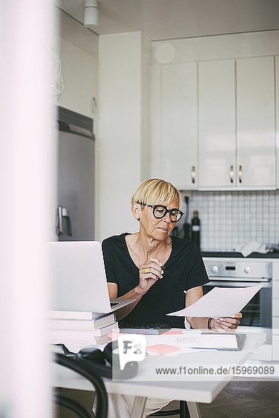 Frau  die zu Hause in der Küche arbeitet  liest Dokument
