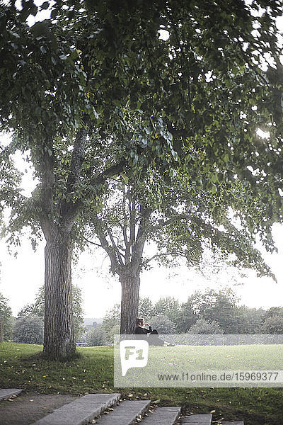 Seitenansicht einer jungen Frau  die am Baumstamm über einem Feld gegen den Himmel sitzt