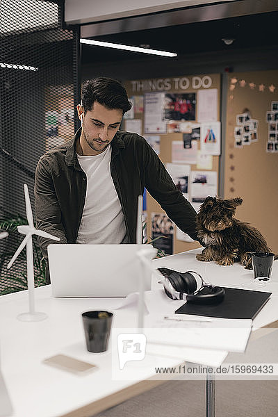 Serious entrepreneur using laptop by dog while working at desk in creative office