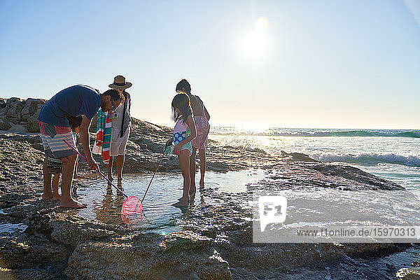 Familie spielt im Gezeitenbecken am sonnigen Meeresstrand