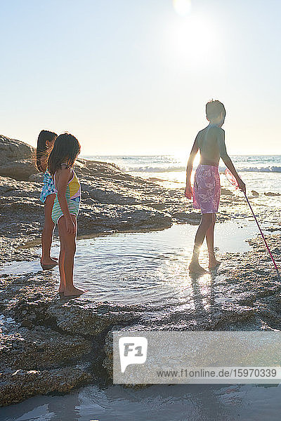 Brother and sisters playing in ocean tide pool on sunny beach