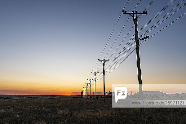 Elektrische Leitungen bei Sonnenuntergang in Elista  Republik Kalmückien  Russland  Eurasien