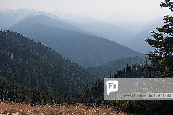 Berge  Olympia-Nationalpark  UNESCO-Weltkulturerbe  Bundesstaat Washington  Vereinigte Staaten von Amerika  Nordamerika
